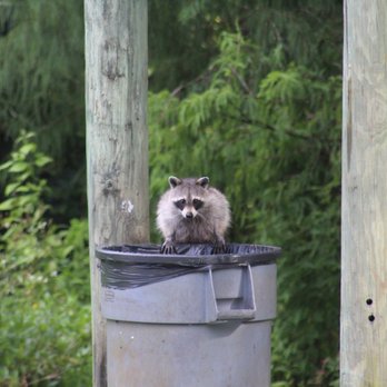 Hosford Park - Busted! - Parks Near Me - Stuart, Florida