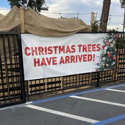 Ace Hardware - Yesssss!!!
