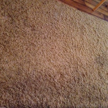 Johnny On The Spot - Area rug before!!! - Carpet Cleaning Near Me - San Pedro, California