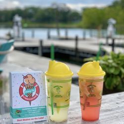 Skinny Dip Ice Cream - Lemonade & strawberry lemonade