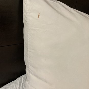 Ramada by Wyndham Vandalia - Blood on the pillow - Hotels Near Me - Vandalia, Illinois Ramada by Wyndham Vandalia - Blood on the pillow - Hotels Near Me - Vandalia, Illinois