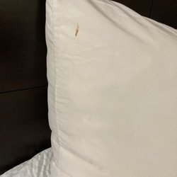 Ramada by Wyndham Vandalia - Blood on the pillow