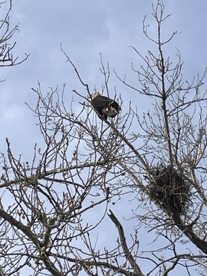 Rocky Mountain Arsenal National Wildlife Refuge by null