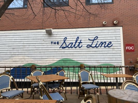 The Salt Line by null