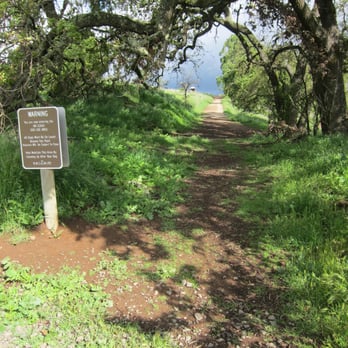 Alston Park - Dog Parks Near Me - Napa, California