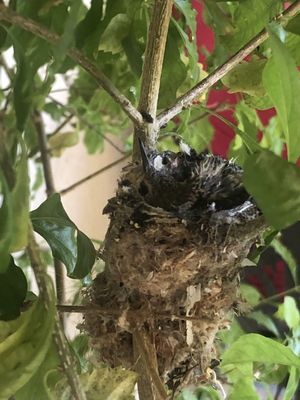 La Maison Hotel by null