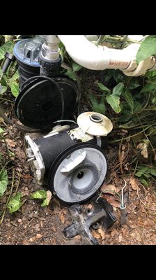 Art-Co Paint & Pool Supply