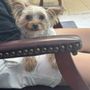 Photo of Bee Cave Veterinary Clinic