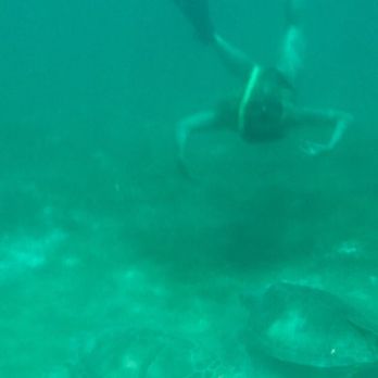 Secrets Akumal Riviera Maya - Hotels Near Me - Tulum, ROO