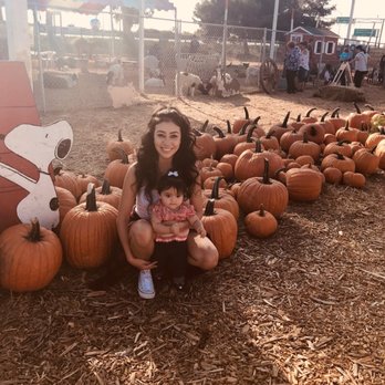 Prancer's Pumpkin Village - Christmas Trees Near Me - Ventura, California Prancer's Pumpkin Village - Christmas Trees Near Me - Ventura, California