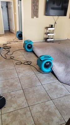 Water Damage Restoration - When a pipe breaks, a toilet overflows, or a supply line bursts, water quickly flows into areas of your home that are not designed to have water. Emergency extraction is the first step in the drying process. We are experts in this process and are here for you during this stressful time. Water Damage Restoration - When a pipe breaks, a toilet overflows, or a supply line bursts, water quickly flows into areas of your home that are not designed to have water. Emergency extraction is the first step in the drying process. We are experts in this process and are here for you during this stressful time.