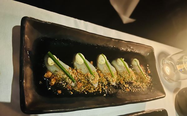 LoLa 41 Palm Beach by null