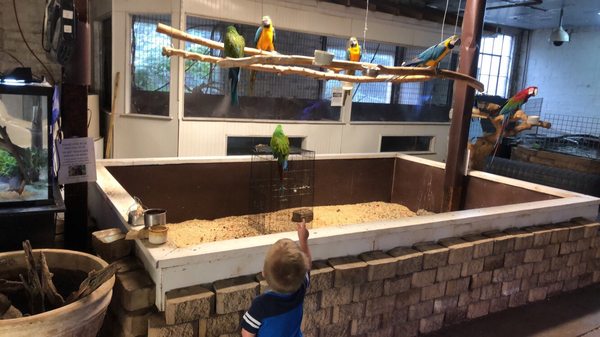 Atlantis Aquatic Gardens