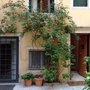 Photo of Corte 1321