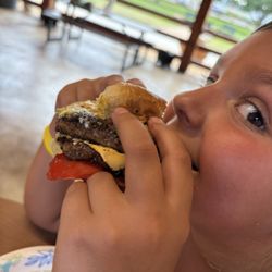 Swinging Bridge Restaurant - This is the 1/2 LB burger with red onion, lettuce, tomatoes, pickles and American cheese. It also came with a bag of chips.