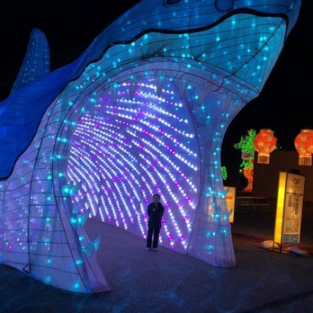 Dragon Lights Albuquerque - Festivals Near Me - Albuquerque, New Mexico
