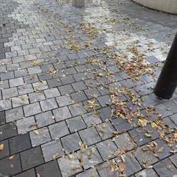 City of Coral Gables - Leaves all over