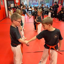 Danny Williams Combat Martial Arts Program