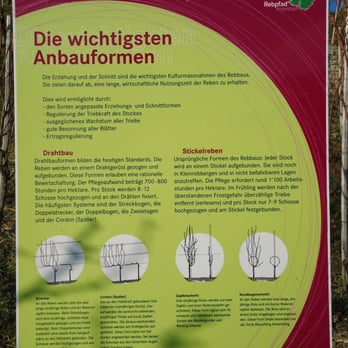 Leutschenweg - Amusement Parks Near Me - Freienbach, SZ