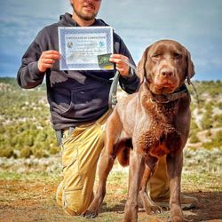 B3 K9 Training And Dog Boarding - Callan & Sully completed their tracking/trailing course with GA K9.