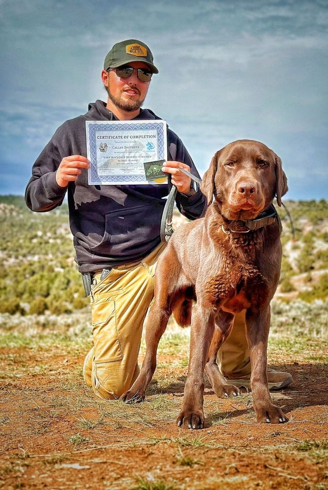 B3 K9 TRAINING AND DOG BOARDING Updated October 2024 13 Photos