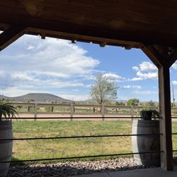 Bruzzi Vineyard