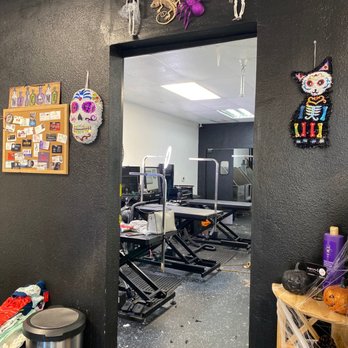 The Rich Groomer - The grooming area - Pet Groomers Near Me - Sacramento, California