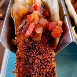 Blue Pointe Bar and Grill - Blackened Mahi Taco