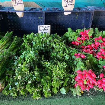 Corona Farms - Farmers Market Near Me - Riverside, California Corona Farms - Farmers Market Near Me - Riverside, California