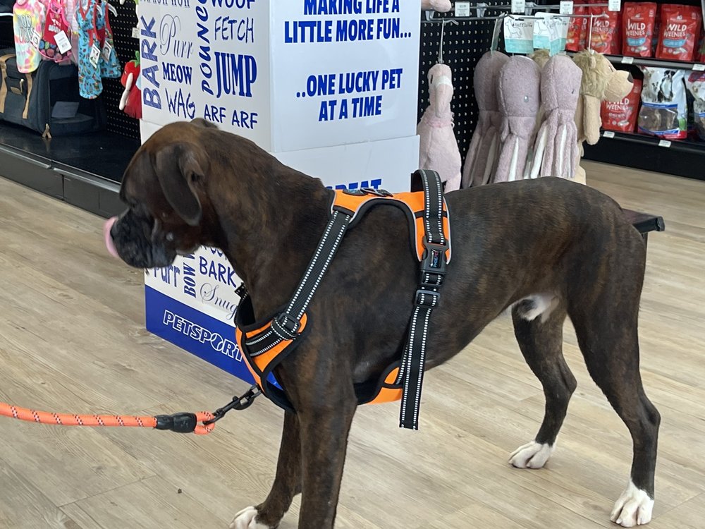 Pet Supermarket Image