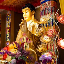Holy Miracles Temple - Namo Sakyamuni Buddha