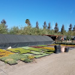 Griselda's Nursery
