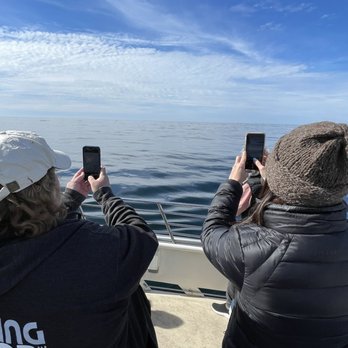 Discovery Whale Watch - Whale Watching Tours Near Me - Monterey, California