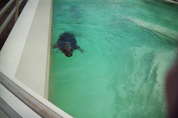 Biarritz Aquarium by null