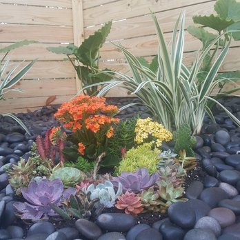 Philips Garden Store - Nurseries & Gardening Near Me - Jacksonville, Florida
