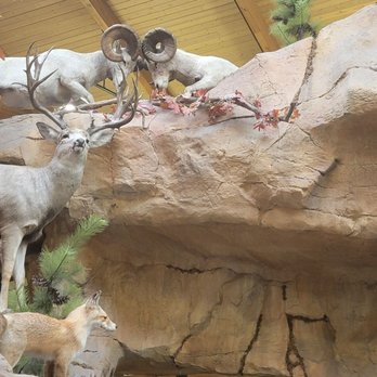 Bass Pro Shop - Outdoor Gear Near Me - Glendale, Arizona