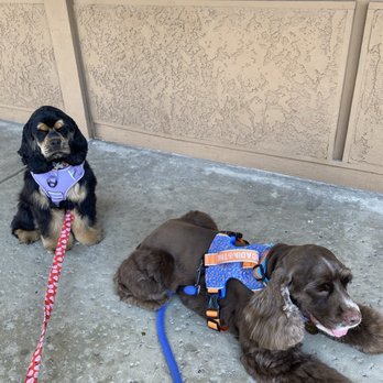 Aroma Pets Grooming - Pet Groomers Near Me - San Dimas, California