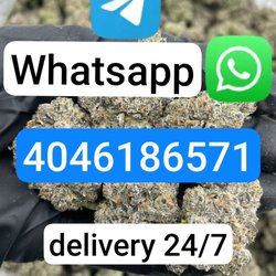 Alternative Weed Therapy