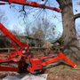 Photo of Bull Of The Woods Tree Service