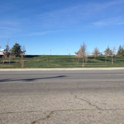 Wittig Land Surveying