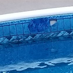 Dolphin Pools & Spas - This is how Dolphin offers "free" service on a huge hole in a liner.  They do not reply to complaints or assistance. RUN!!!