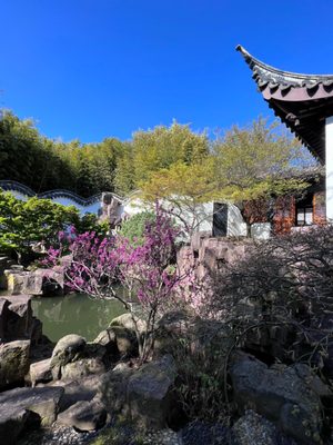 New York Chinese Scholar's Garden, Snug Harbor Cultural Center by null