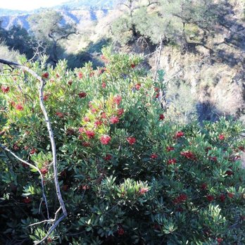 El Prieto Trail - Hiking Near Me - Pasadena, California