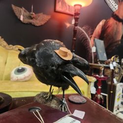Black Rose Antiques & Oddities