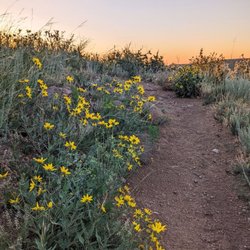Nightbird Gulch Trail | Instagram: @telephonesmoothie