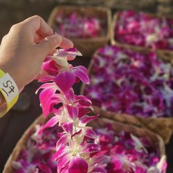 Ka Moana Luau - Making flower bracelets
