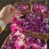 Ka Moana Luau gift card