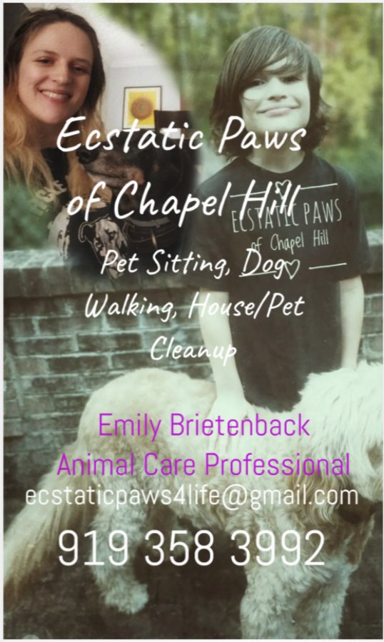 Ecstatic Paws - pet boarding facility in Chapel Hill, NC