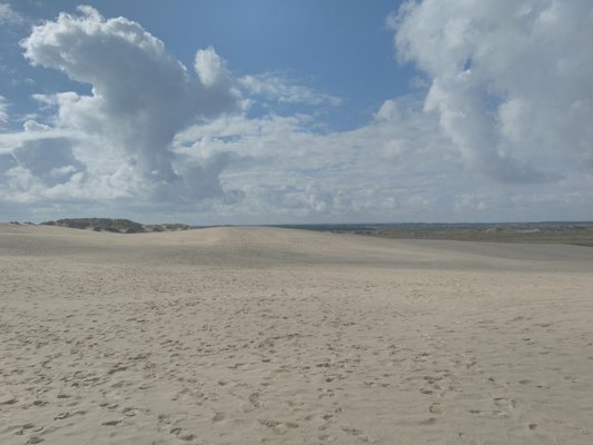 Råbjerg Mile by null