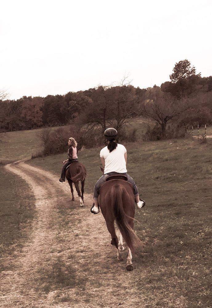 DreamKeeper Stables - equestrian in Morral, OH